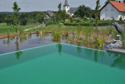Schwimmteich